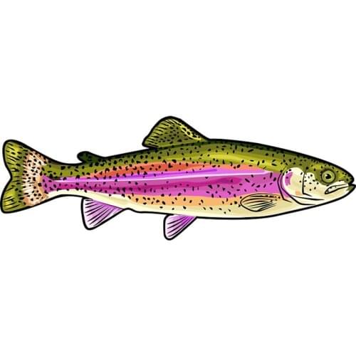 13cm x 5cm for Rainbow Trout Fish Car Stickers Trunk Motorcycle Decal Laptop RV Campervan Waterproof Sticker Decor