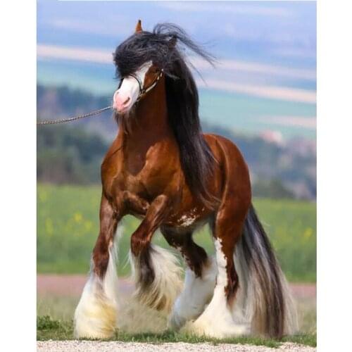 Horse animal 5D diy diamond painting Full Square Round Drill mosaic embroidery rhinestone sale needlework home decoration AA2719