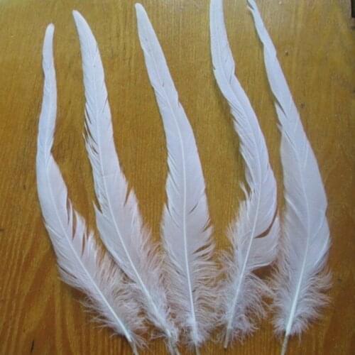 Wholesale 10 PCS 20-40cm white Rooster tail Feathers For Decoration Craft Feather Christma Diy Pheasant Feather