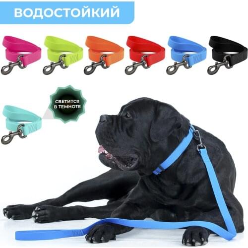 WAUDOG Leashes For Dogs