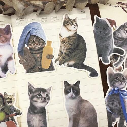 15PCS cute cat stickers DIY scrapbooking album diary happy planner week journal decoration stickers