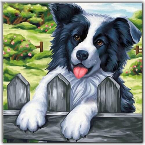 New Diy Diamond painting cross stitch 5d Square or Round diamond mosaic Rhinestone Full Diamond embroidery "Border Collie"
