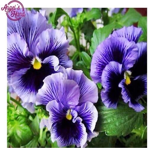 ANGELs HAND 5D DIY Diamond embroidery blue flower diamond painting Cross Stitch full square Rhinestone mosaic decoration gift