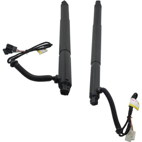 AP03 51244887653 2PCS Rear Left+Right Trunk Lid Spring for BMW E71 X6 51247332698