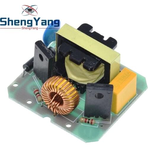 12V to 220V Step UP Power Module 35W DC-AC Boost Inverter Module Dual Channel Inverse Converter Booster Module Power Regulator