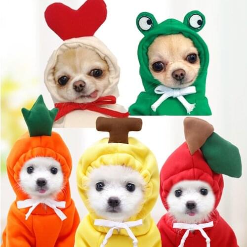 Winter Autumn Fruit Pet Dog Clothes Jumpsuit For Small Medium Dog Chihuahua French Bulld Puppy Outfits Cat Clothes Sphinx Cat