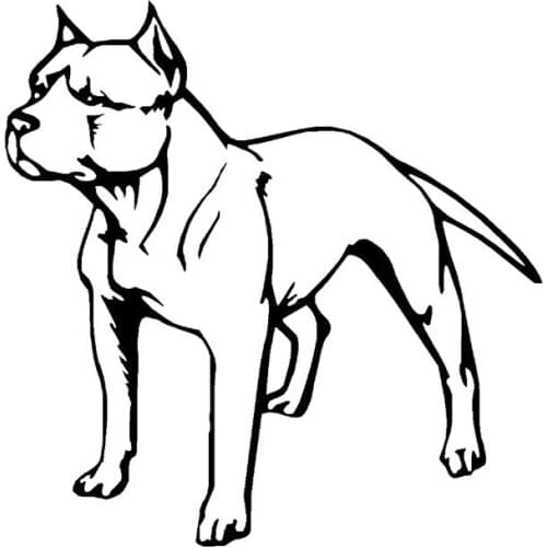 PIT BULL TERRIER DOG Vinyl Art Sticker Car Decal 12.5CM*13CM Car Decor