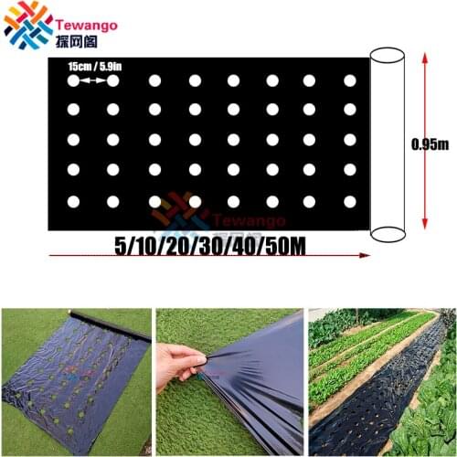 Tewango Perforated Mulch Weed Control Agriculture Film Breeding Mulch Veg Patch For Tomato Strawberry Growth Punch 4.5cm Hole
