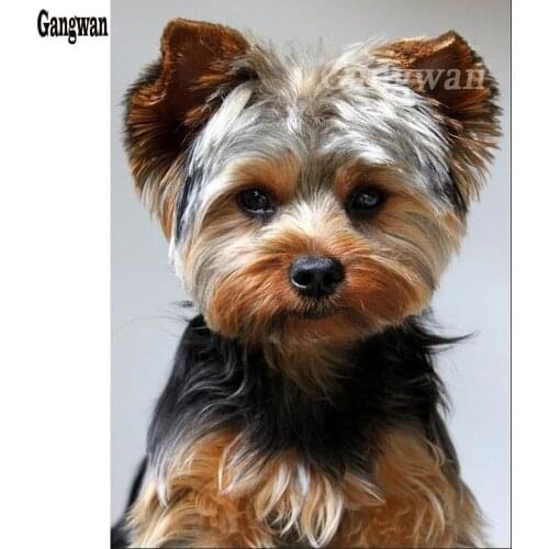 Diamond Rhinestone Embroidery 5d Diy Diamond Painting Cross Stitch Yorkshire Terrier Dog New arrival Full Mosaic kit hobby crafs