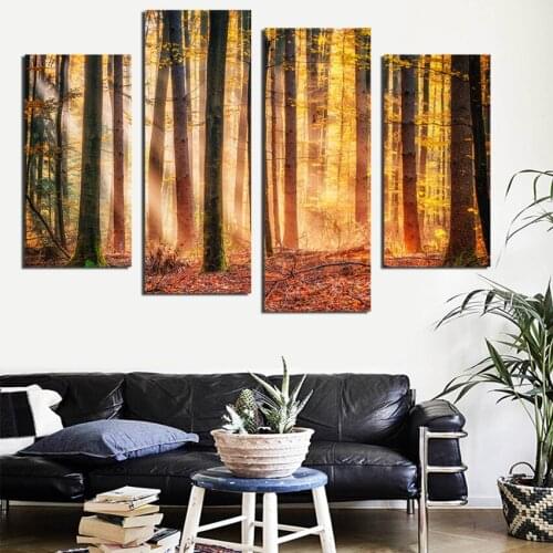 The artistic landscapes on the walls are Nordic prints in the woods, decorating the studio and the modern living room TZ069