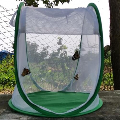 Mini Plant Greenhouse Durable Folding Insect Cage Butterfly Cage Insect Observation Cage Plant Insect Net Plant Protection Cover
