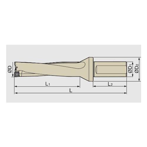 Special link 20200917-A.S