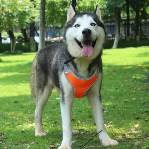 Adjustable Dog Harness Reflective Skin-friendly Cloth Pet Vest Going For A Walk Anti-lost Traction Belt Chest Strap For Puppy