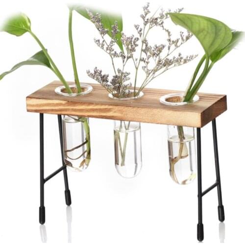 Glass Transparent Flower Vase Plant Pot Hydroponic Terrarium Container Holder with Wooden Stand Desk Home Garden Decoration