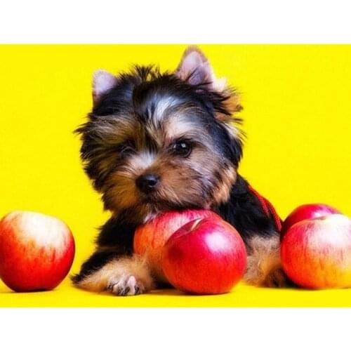 HOT Diy Embroidery Square/round Diamond Painting Baby Dog Red Apples Needlework Resin Drill Beads