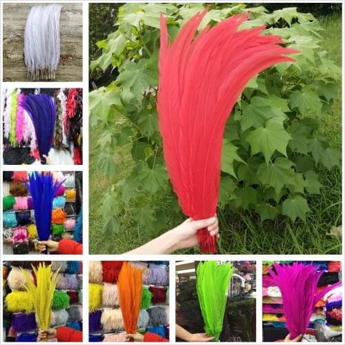 Wholesale 20/50/100pcs Natural Silver Pheasant Tail Feathers 22-24inch/55-60cm Wedding/Dance recital/Party/Halloween/Home decor