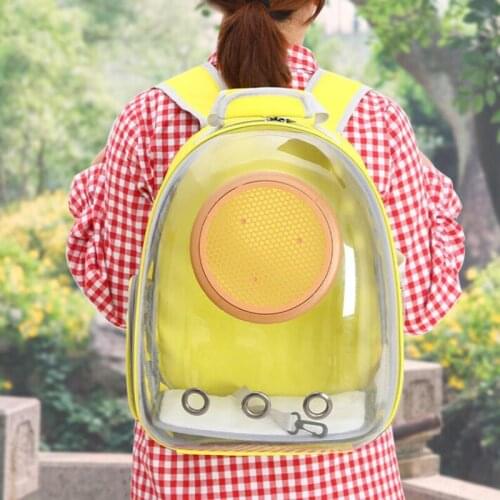 Transparent Cat Carrier Backpack Breathable Puppy Capsule Bag Outdoor Travel Carrying Cage Big Space Pet Handbag