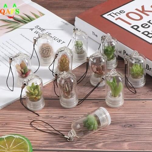 DIY Succulent Plant Pendant Cactus Miniature Succulent Cactus Terrarium Live Random Style Home Decor 2.5*5cm
