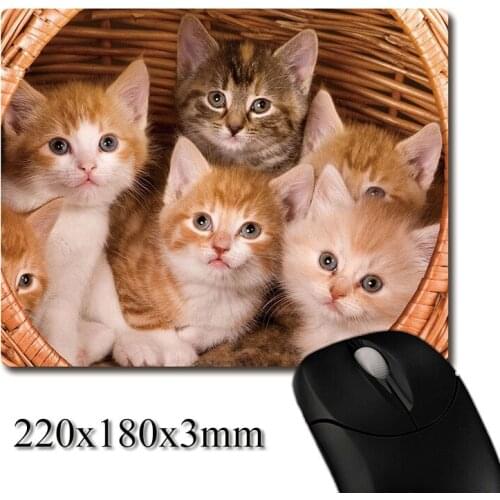 Cute kittens in the basket printed Heavy weaving anti-slip rubber pad office mouse pad Coaster Party favor gifts 220x180x3mm