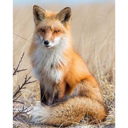 5D DIY Diamond Painting Fox Cross Stitch Picture Of Rhinestones Full Square Drill Diamond Embroidery Mosaic DIY Needlework TY534