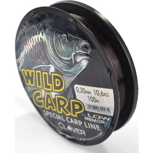 FISH KING 100m 8LB-60LB Multi Wild Carp Line For Lure Fishing Bass Fishing Line Wear Resisting Nylon Fishing Line Linha De Pesca