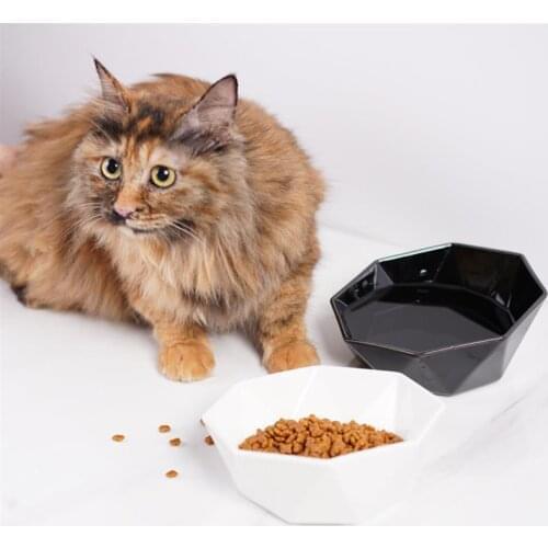 Cat Bowl Fashion Cute Non Slip Spine Protect Ceramic Bowl Pet Bowl Food Bowl