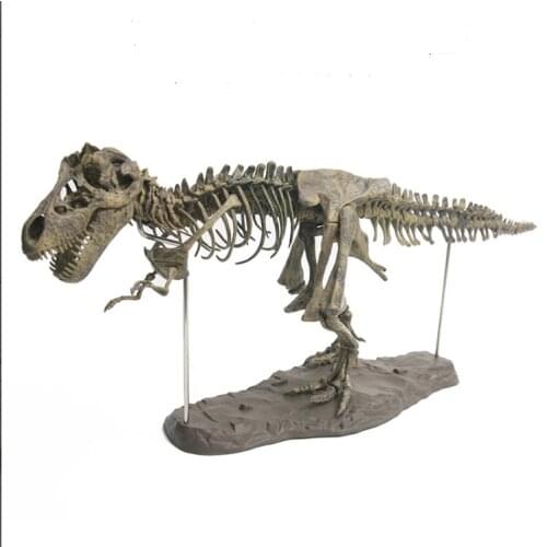 PVC Assembling Skeleton Dinosaur Simulation Animal Model Toys Gifts Children Educational Science Figurines