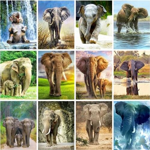 Square/round Diamond Diy Diamond Painting Elephant Animal Diamond Embroidery Set Cross Stitch Set Home Decoration Birthday Gift