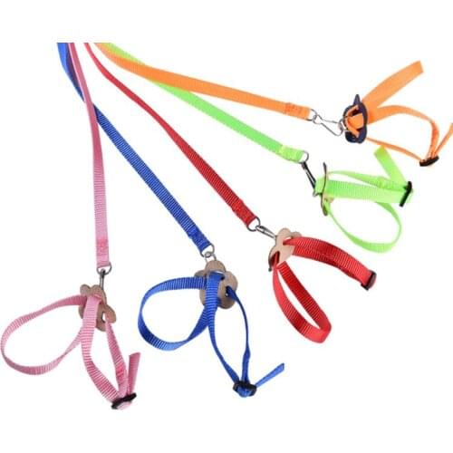 Portable New Parrot Bird Hamster Turtle Lizard Traction Rope Reins 8-shaped Pet Strap Leash