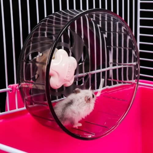 Durable Plastic Hamster Sports Jogging Wheel Small Pet Squirrel Chinchillas Little Mouse Non-slip Silent Running Exercise Toy