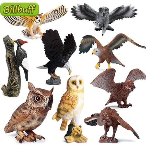 Hot Simulation Wild Animal Zoo ABS Birds Eagle Parrot Woodpecker Model Figures Collection Cognition Educational Toy for Children