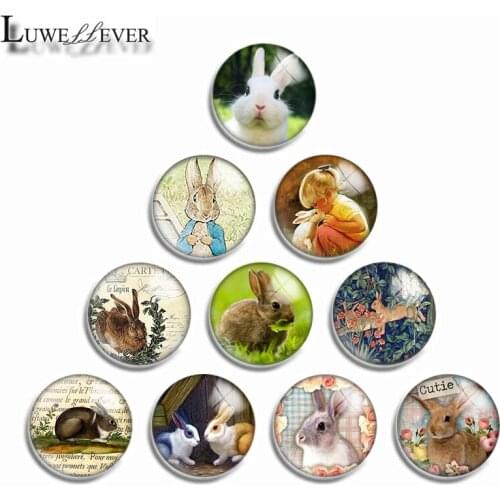 12mm 10mm 14mm 16mm 20mm 25mm 498 Cute Panda Mix Round Glass Cabochon Jewelry Finding 18mm Snap Button Charm Bracelet