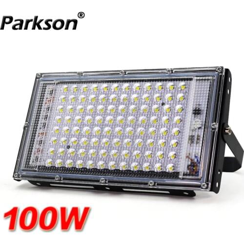 100W Flood Light LED Floodlight AC 220V IP65 Wall Lamp Outdoot Lighting Spotlight Street Lamp Projector LED Spot Garden Light
