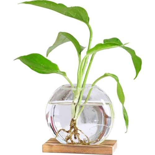 Nordic Mini Creative Glass Transparent Flower Vase Plant Bottle Hydroponic Terrarium Container Holder With Wood Stand Desk