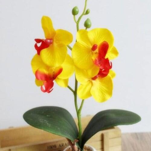 Simulation Flowers Fancy Four Butterfly Orchid Meaty Plant Bonsai Flower Arranging Accessories JW
