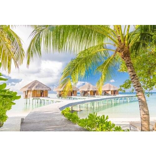 Wedding dress model photo background vinyl fotografia vacation sea photography backdrops for photo studio kits photophone lv-444