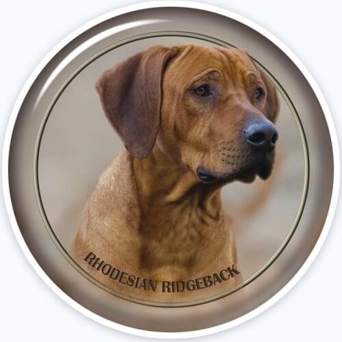A0690# Various Sizes Removable Decal Rhodesian Ridgeback-1 88 Sticker Waterproof Accessories on Bumper Rear Window Laptop