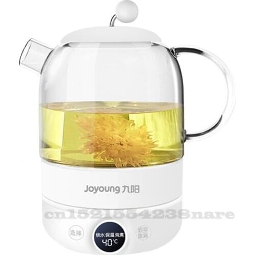 220V/800W Household Electric Kettle Health Preserving Pot Portable Multi Function Boiling Water Kettle Tea Boiling Machine 0.8L