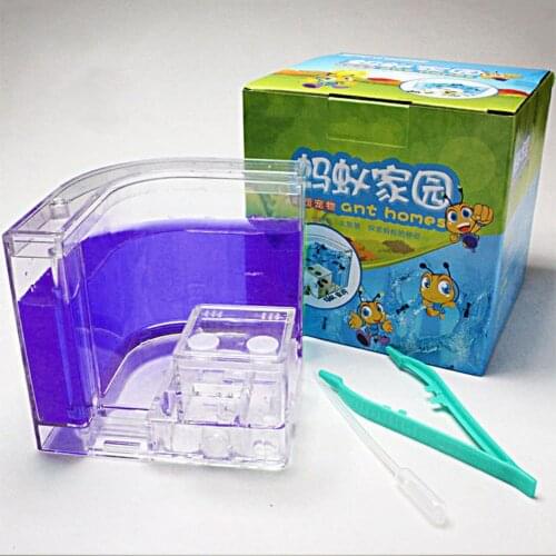 1PCS 3D Insect Acrylic Ants for Ant Farm Observed Expansion Maze House Educational Decor Accessories Observed World Ant Home
