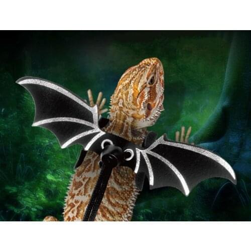 Lizard Leash Traction Rope Adjustable Bearded Dragon Harness Leather Reptile Leash with Wing