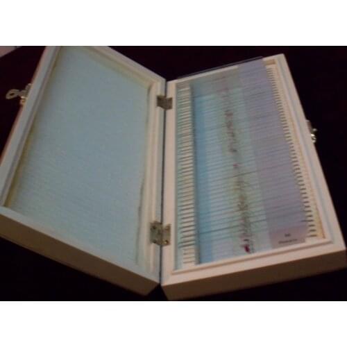 Human histology microscope prepared teaching slides