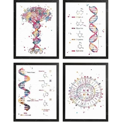 DNA Genetic Code Watercolor Poster Set Dna Tree Office Decor Science Wall Art Biology Art Genetic Code Circle Art Chemistry