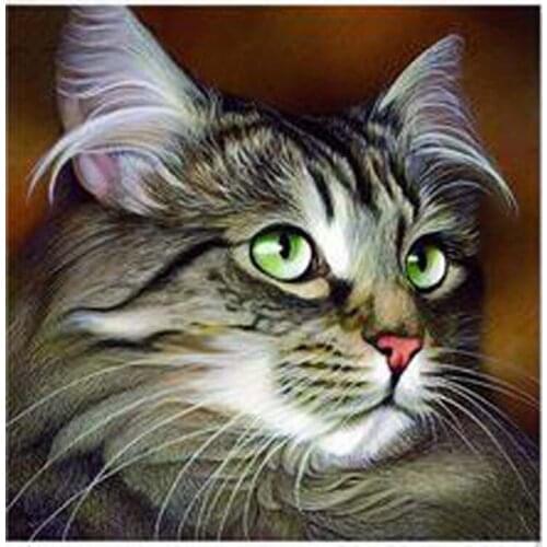 5D Diy Diamond Painting Cat Craft Kit Full Drill Square/Round Diamond Embroidery Animal Picture Of Rhinestone Home Decoration