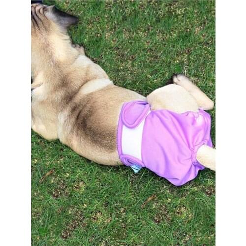 Pet Diapers For Medium And Large Dogs Washable Diapers Prevent Pet Incontinence Dog Panties Gray XL