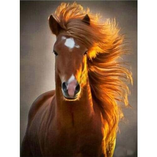 TOUOILP square full Diamond Painting Paarden 19