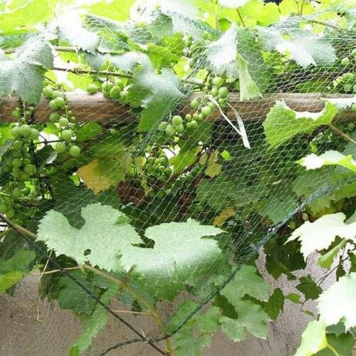 Anti-bird Ne 20 x 20MM Garden Fence Net Climbing Frame Gardening Net Plant Fence Anti-bird Net Vegetable Plant Trellis Netting 5