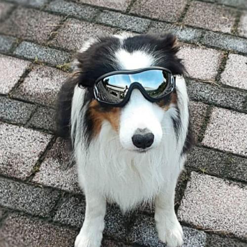 2021 HEIßER Einstellbare Haustier Hund Brille Sonnenbrille Anti-Uv Sonnenbrille Auge Tragen Schutz Wasserdicht Pet Hund Liefert