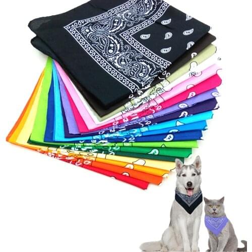 Dog Accessories Kevat Vesi China
