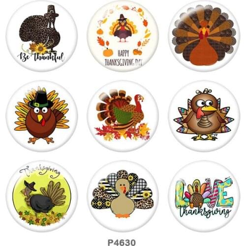 Thanksgiving Turkey 12mm/18mm/20mm/25mm/30mm Round glass cabochon flat back Making findings snap button jewelry P4630
