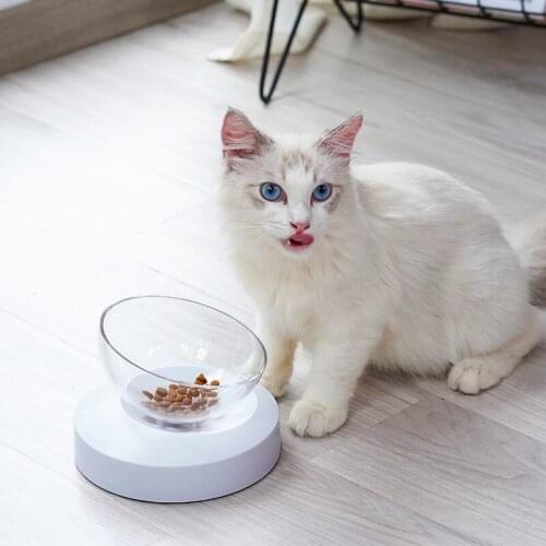 Cat Elevated Bowl with Raised Stand Dog Bowl Feeding Watering Drinking Dish Non-Slip Pet Food Water Feeder for Small Cats Dogs